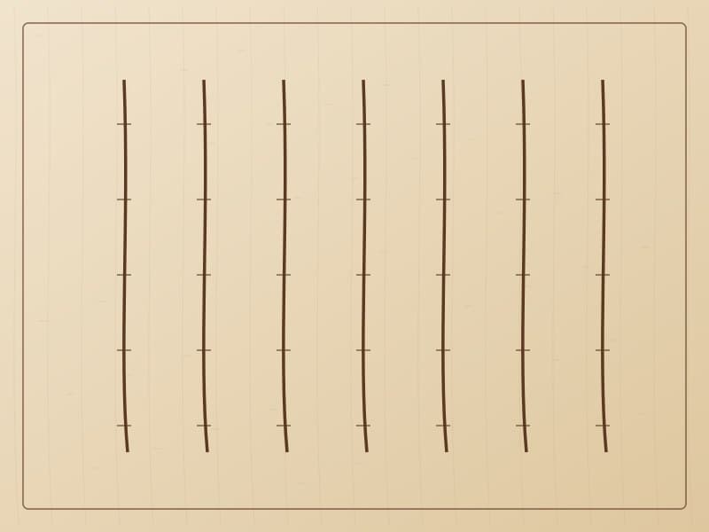 白桦树纹